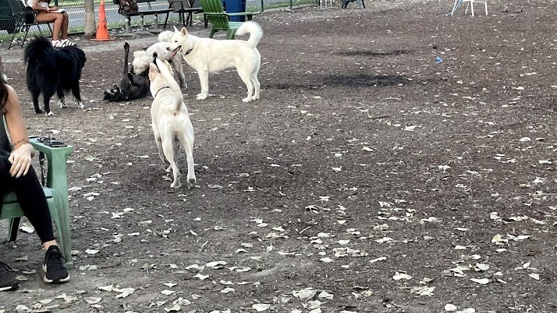 University City Dog Park (Membership Only) - University City, MO