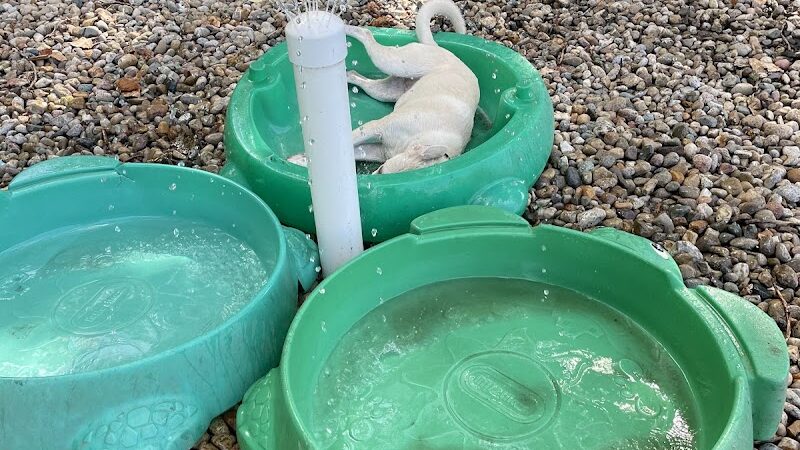 University City Dog Park (Membership Only) - University City, MO