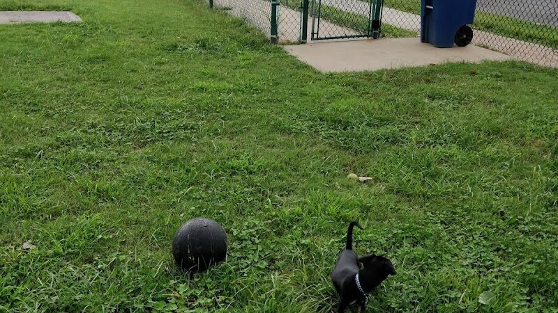 University City Dog Park (Membership Only) - University City, MO