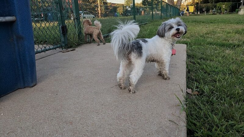 University City Dog Park (Membership Only) - University City, MO