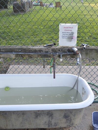 University City Dog Park (Membership Only) - University City, MO