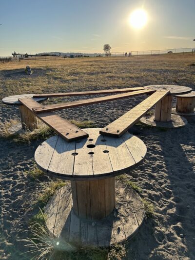 Chambers Bay Off Leash Dog Park - University Place, WA