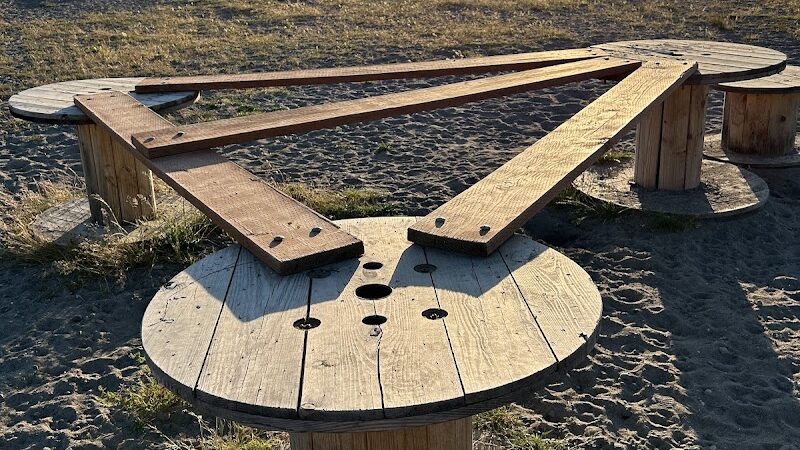 Chambers Bay Off Leash Dog Park - University Place, WA