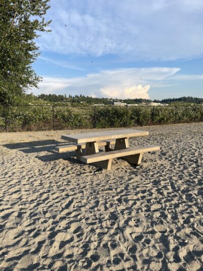 Chambers Bay Off Leash Dog Park - University Place, WA