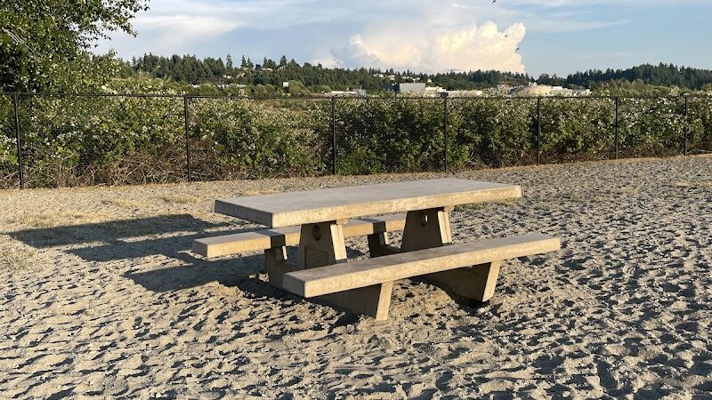 Chambers Bay Off Leash Dog Park - University Place, WA