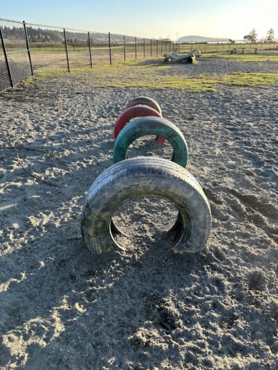 Chambers Bay Off Leash Dog Park - University Place, WA