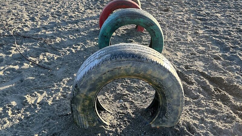 Chambers Bay Off Leash Dog Park - University Place, WA