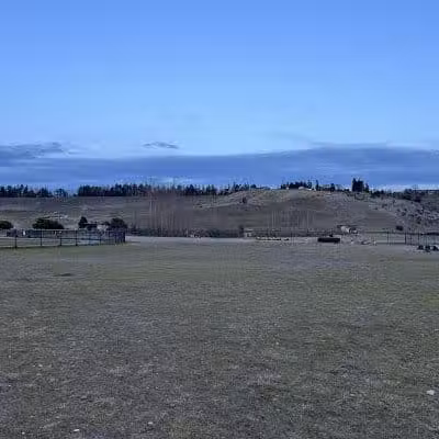 Chambers Bay Off Leash Dog Park - University Place, WA