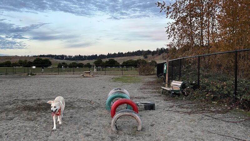Chambers Bay Off Leash Dog Park - University Place, WA