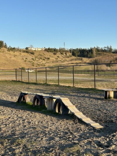 Chambers Bay Off Leash Dog Park - University Place, WA