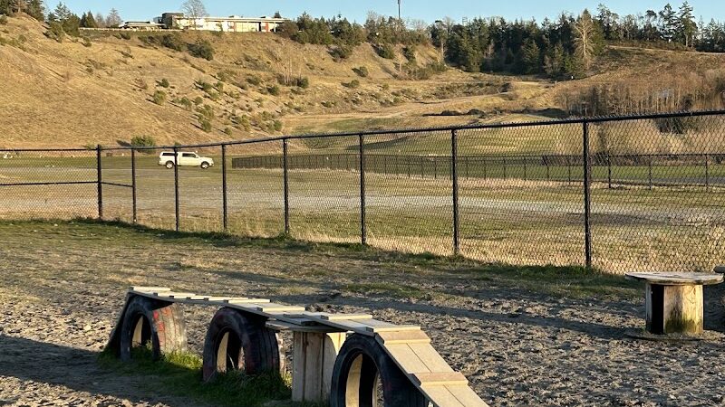 Chambers Bay Off Leash Dog Park - University Place, WA