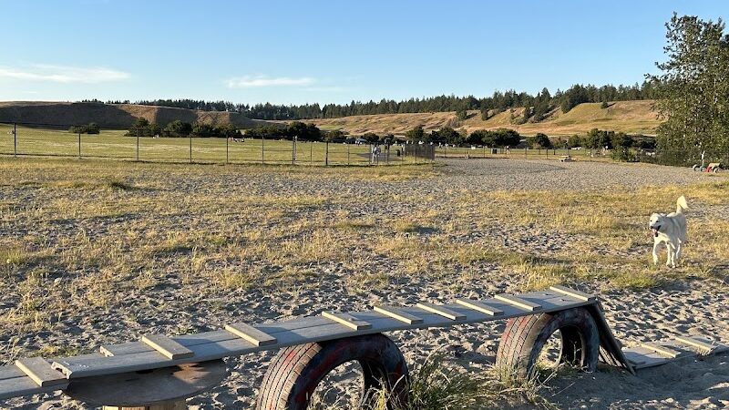Chambers Bay Off Leash Dog Park - University Place, WA