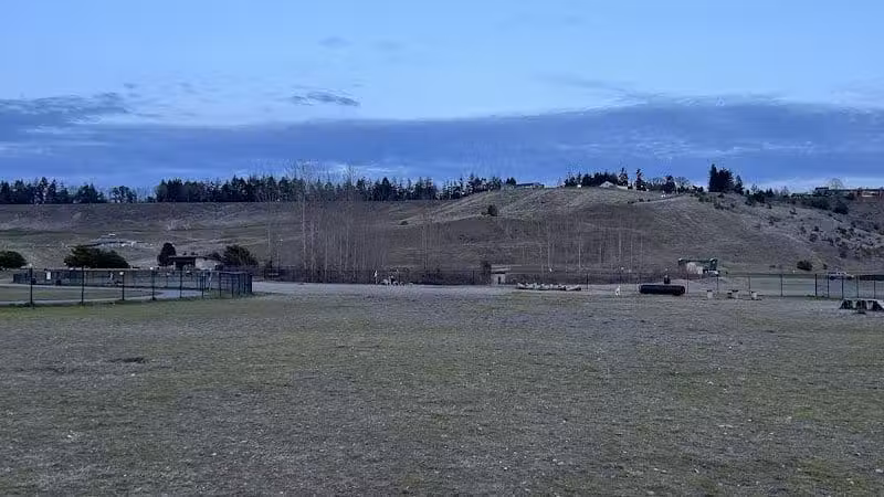 Chambers Bay Off Leash Dog Park - University Place, WA