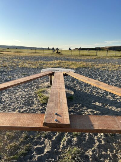 Chambers Bay Off Leash Dog Park - University Place, WA