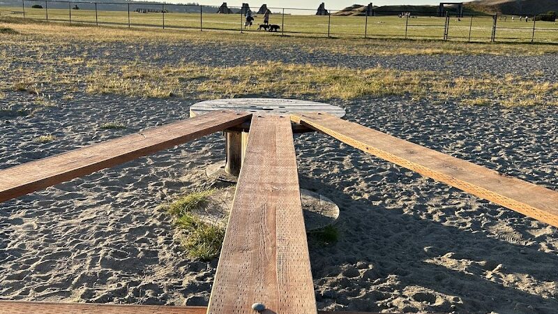Chambers Bay Off Leash Dog Park - University Place, WA