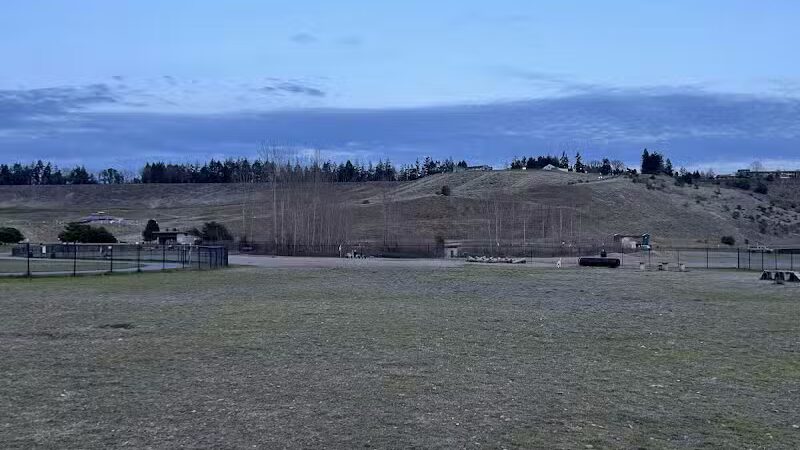 Chambers Bay Off Leash Dog Park - University Place, WA