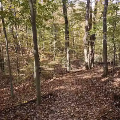 Clayton Park - Upper Freehold, NJ