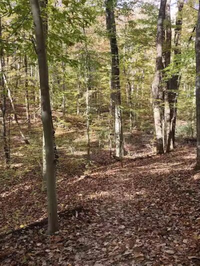 Clayton Park - Upper Freehold, NJ