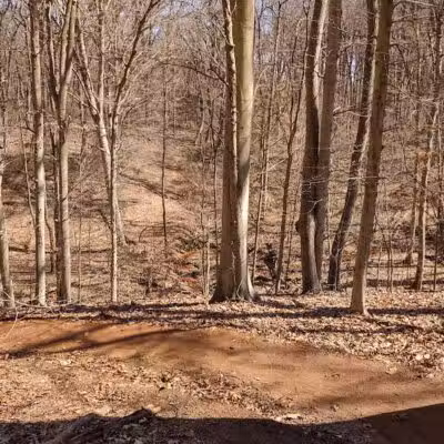 Clayton Park - Upper Freehold, NJ