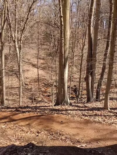 Clayton Park - Upper Freehold, NJ