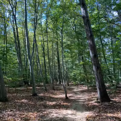 Clayton Park - Upper Freehold, NJ