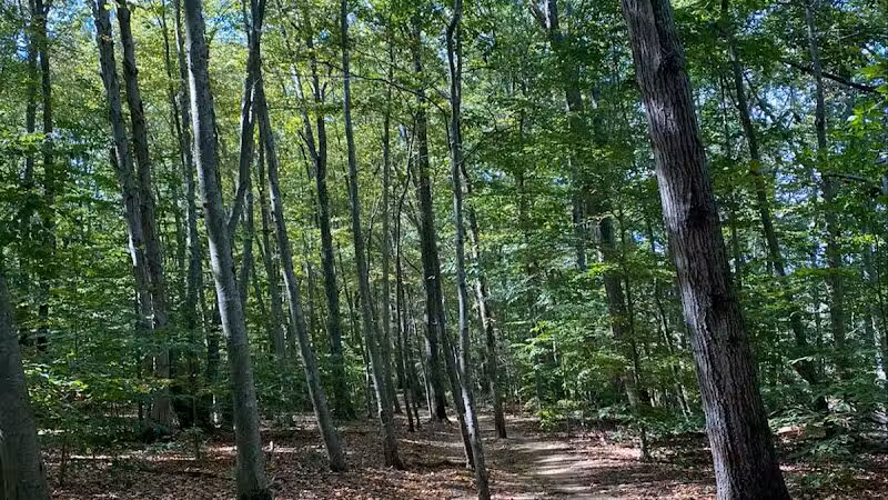 Clayton Park - Upper Freehold, NJ
