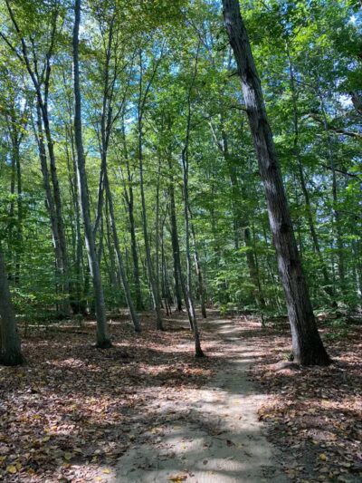 Clayton Park - Upper Freehold, NJ