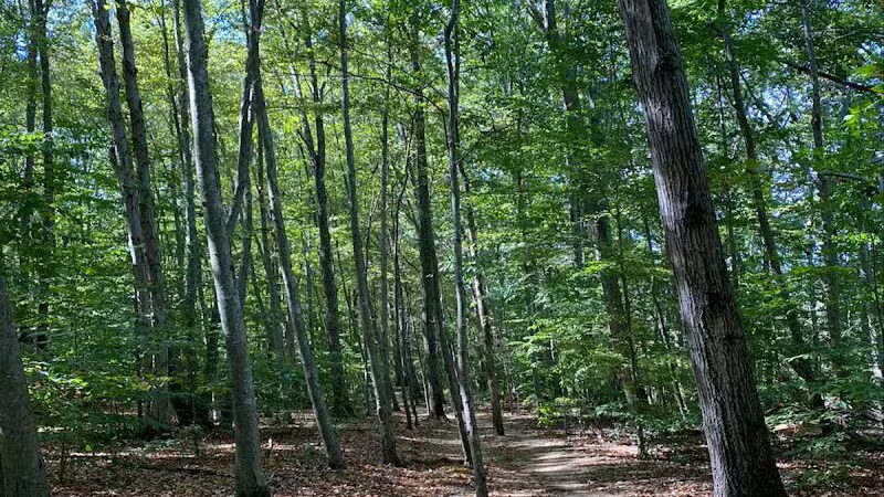 Clayton Park - Upper Freehold, NJ