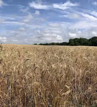 Clayton Park - Upper Freehold, NJ