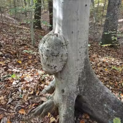 Clayton Park - Upper Freehold, NJ