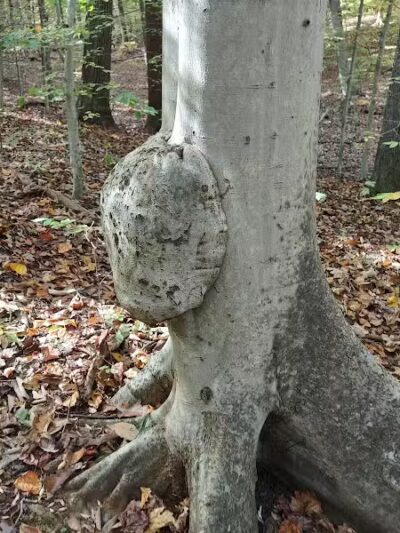 Clayton Park - Upper Freehold, NJ