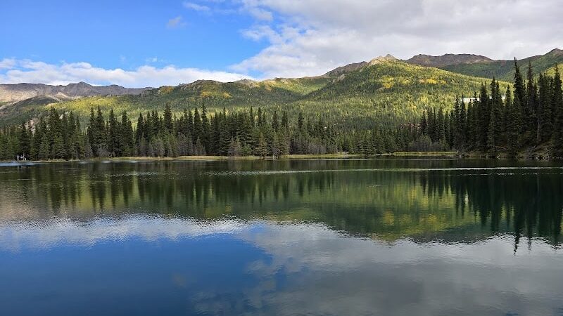 Denali National Park and Preserve - US, AK