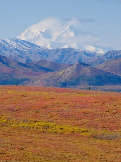 Denali National Park and Preserve - US, AK