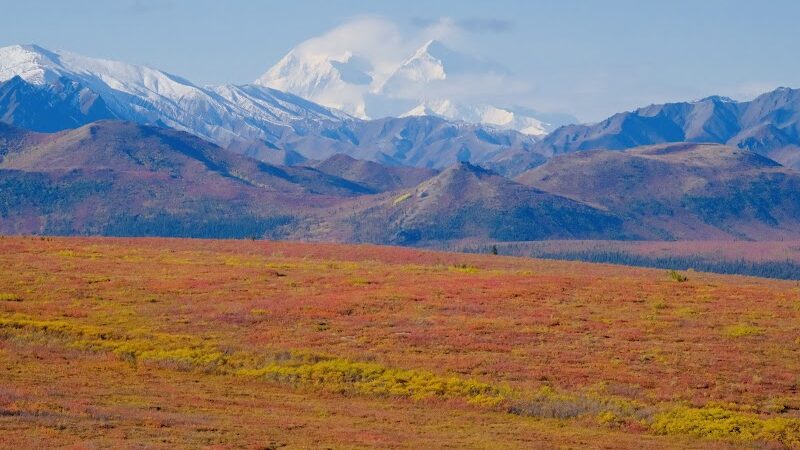 Denali National Park and Preserve - US, AK