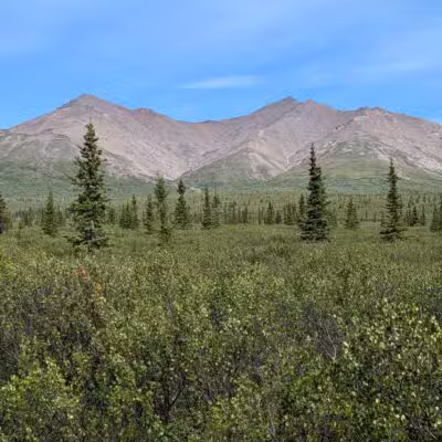 Denali National Park and Preserve - US, AK