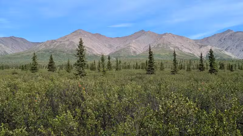 Denali National Park and Preserve - US, AK