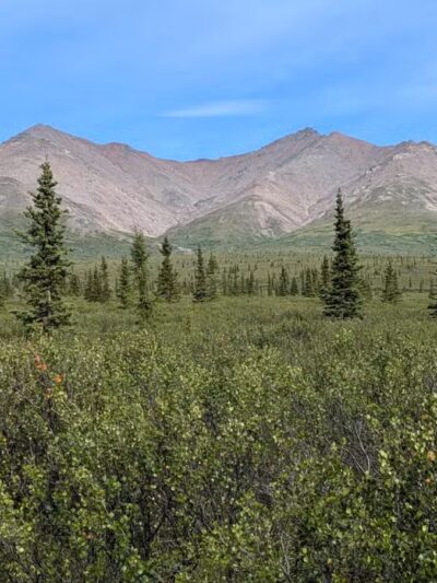 Denali National Park and Preserve - US, AK