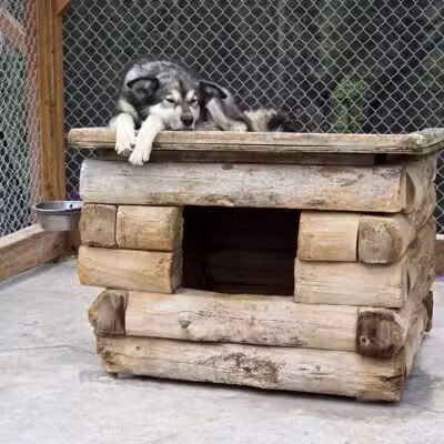 Denali National Park and Preserve - US, AK