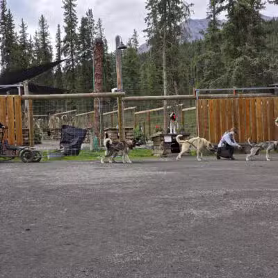 Denali National Park and Preserve - US, AK