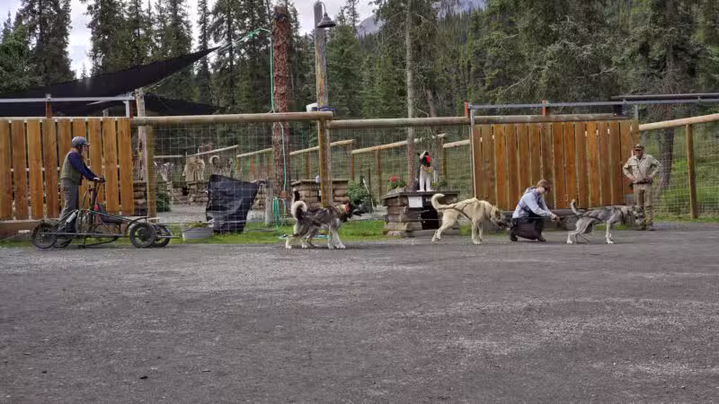 Denali National Park and Preserve - US, AK