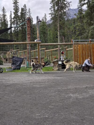 Denali National Park and Preserve - US, AK