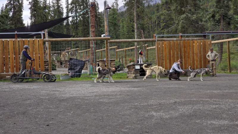 Denali National Park and Preserve - US, AK