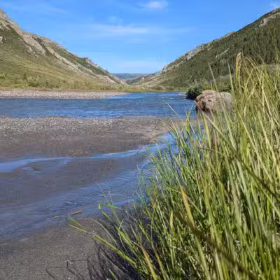 Denali National Park and Preserve - US, AK