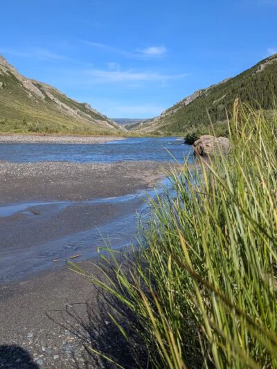 Denali National Park and Preserve - US, AK