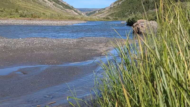 Denali National Park and Preserve - US, AK