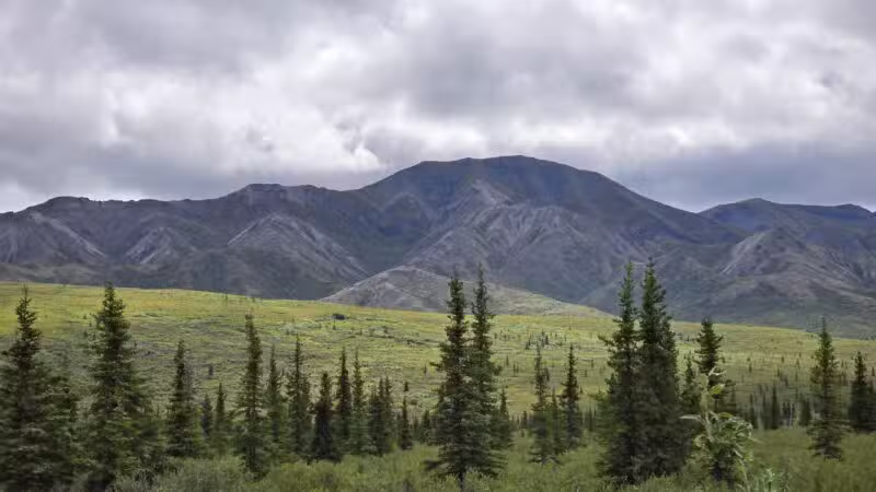 Denali National Park and Preserve - US, AK
