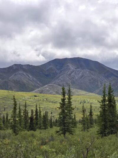 Denali National Park and Preserve - US, AK