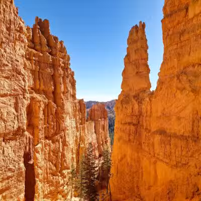Bryce Canyon National Park - US, UT