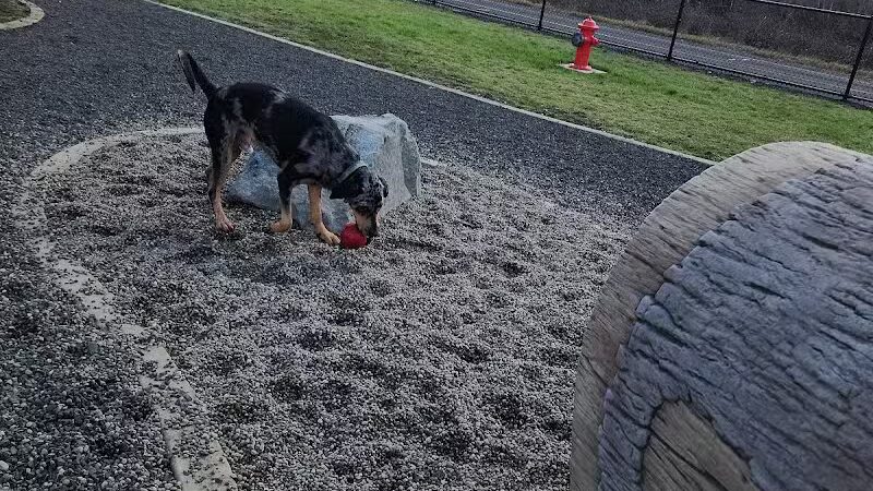 Vance Creek Dog Park - US, WA