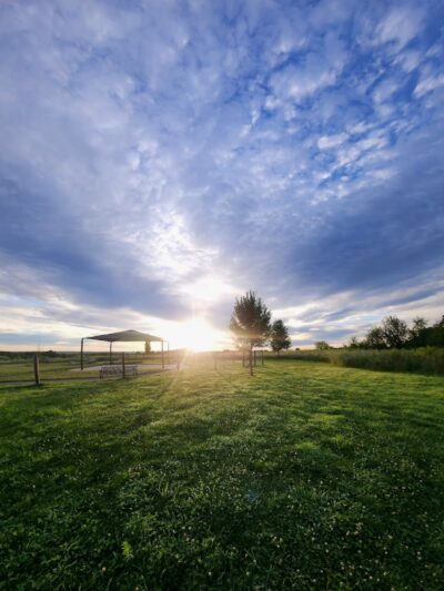 Uxbridge Dog Park - Uxbridge, MA